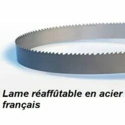 PROBOIS Lame De Scie à Ruban 2360 Largeur 20 épaisseur 0.5 Mm Pour Kity 673 Et Scheppach Basa 3H, Basa 3.0V