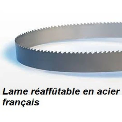 PROBOIS Lame De Scie à Ruban 4590 Mm Largeur 10 épaisseur 0.5 Mm 3 PROBOIS Lame De Scie à Ruban 4590 Mm Largeur 10 épaisseur 0.5 Mm