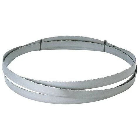 FORMAT Lame De Scie Ruban HSSBi D8-12 2750x27x0 4 FORMAT Lame De Scie Ruban HSSBi D8-12 2750x27x0 – Image 2