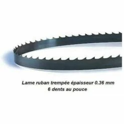 PROBOIS Lame De Scie à Ruban 1875 Mm Largeur 10 épaisseur 0.36 Mm