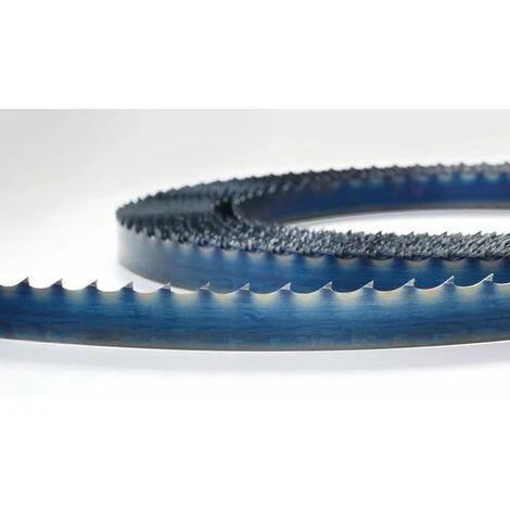 HOLZKRAFT 5160012 LAME DE SCIE REC. HBS 231-1 10x0,5x1575 4ZZ 5 HOLZKRAFT 5160012 LAME DE SCIE REC. HBS 231-1 10x0,5x1575 4ZZ – Image 3